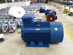 變頻防爆電機代號-防爆電機防爆標(biāo)識CT4和BT4區(qū)別